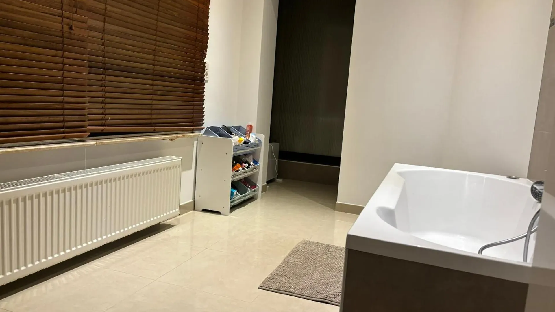Maison Ameluan Apartment Brussels Belgium